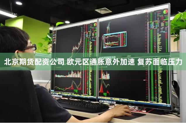 北京期货配资公司 欧元区通胀意外加速 复苏面临压力