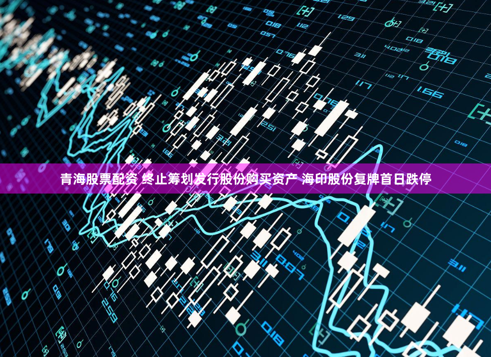 青海股票配资 终止筹划发行股份购买资产 海印股份复牌首日跌停