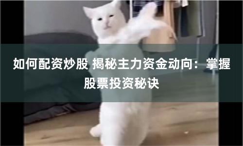 如何配资炒股 揭秘主力资金动向:掌握股票投资秘诀
